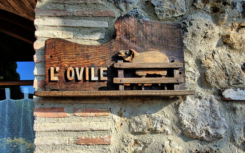 Logement Ovile: Extérieur