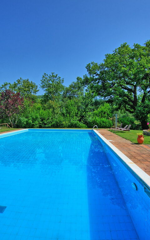 Villa Campogialli: bassin