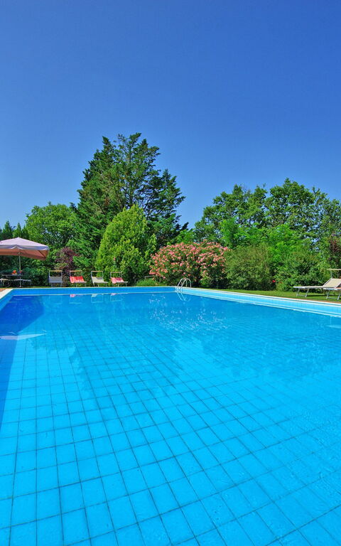 Villa Campogialli: bassin