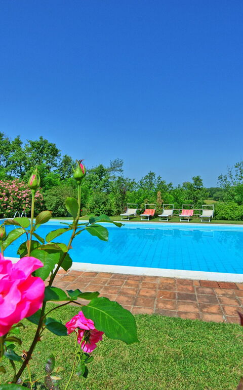 Villa Campogialli: bassin