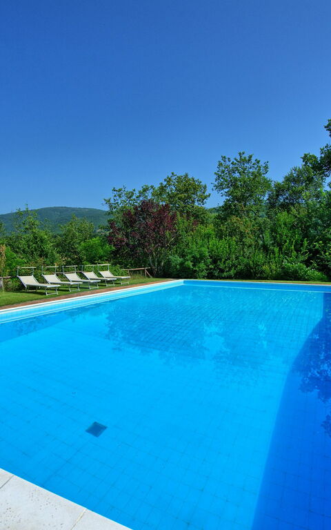 Villa Campogialli: bassin