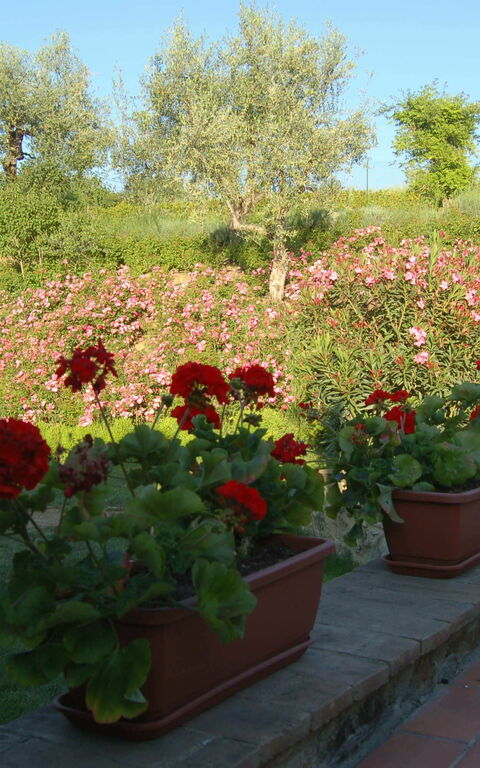 Vecchio Fienile Apartments