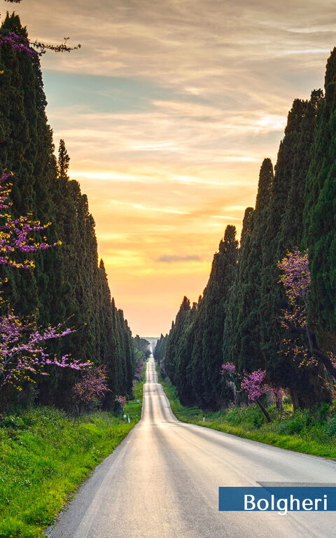 Guardistallo: Extérieurs, Vues