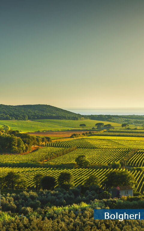 Guardistallo: Extérieurs, Vues