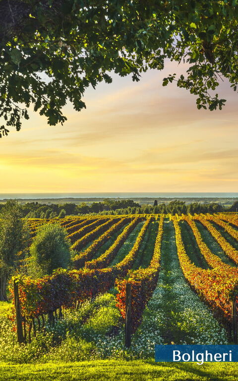 Guardistallo: Extérieurs, Vues