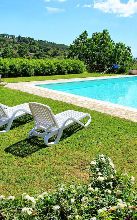 Guardistallo: bassin, Jardin