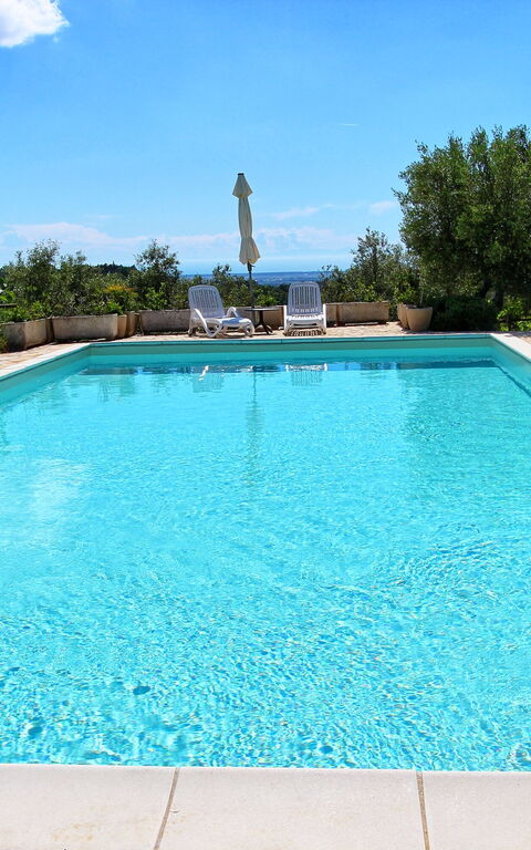 Guardistallo: bassin