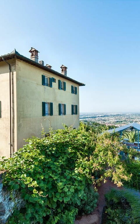 Villa Camaiore: Extérieurs, Jardin