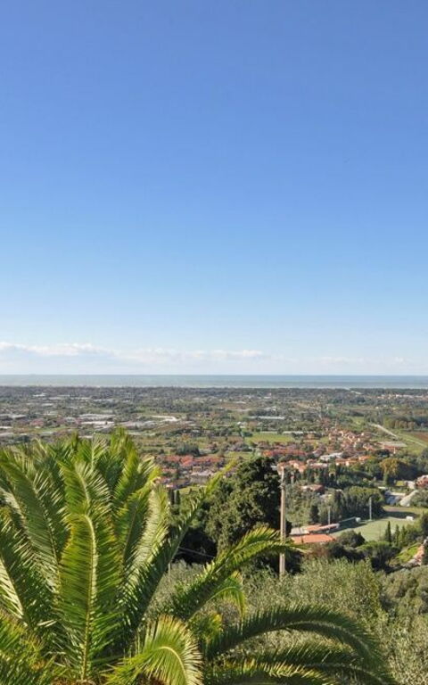 Villa Camaiore: Jardin, Vues