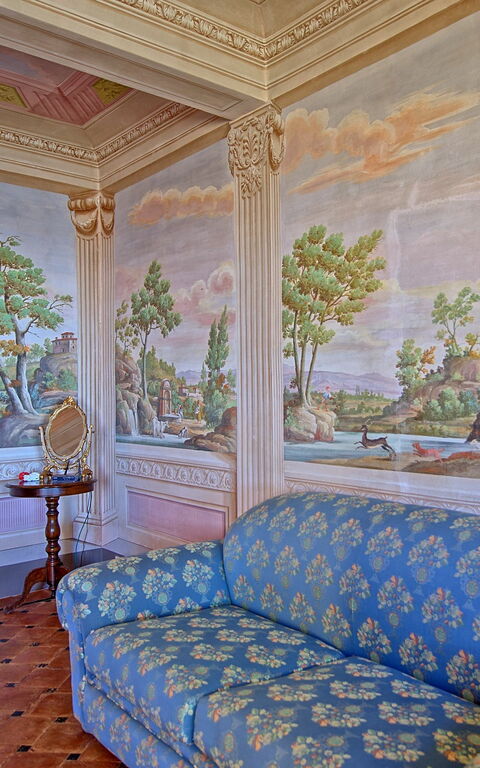 Villa Camaiore: Salon