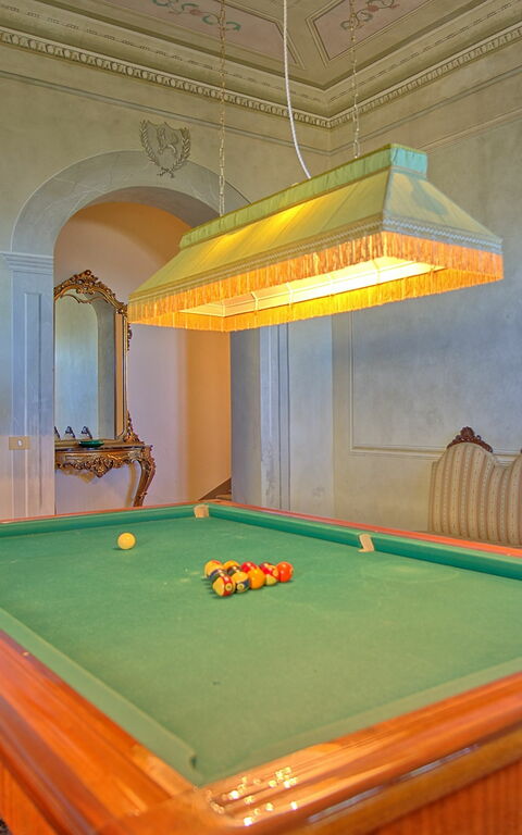 Villa Camaiore: Activités