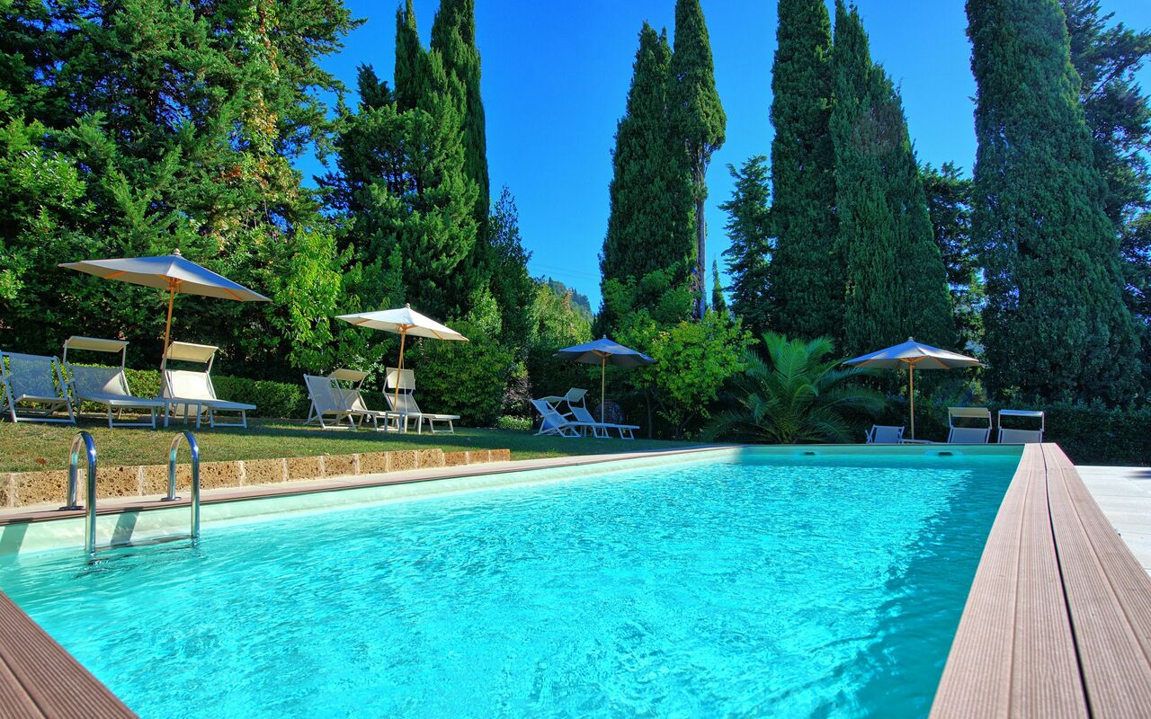 Villa Camaiore: bassin, Jardin