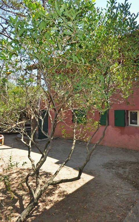 Casamare: Extérieur, Jardin