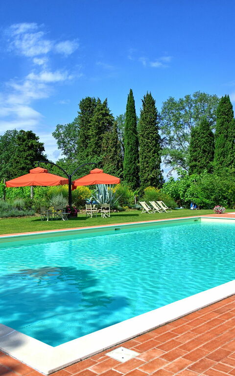 Villa Lorenza: bassin