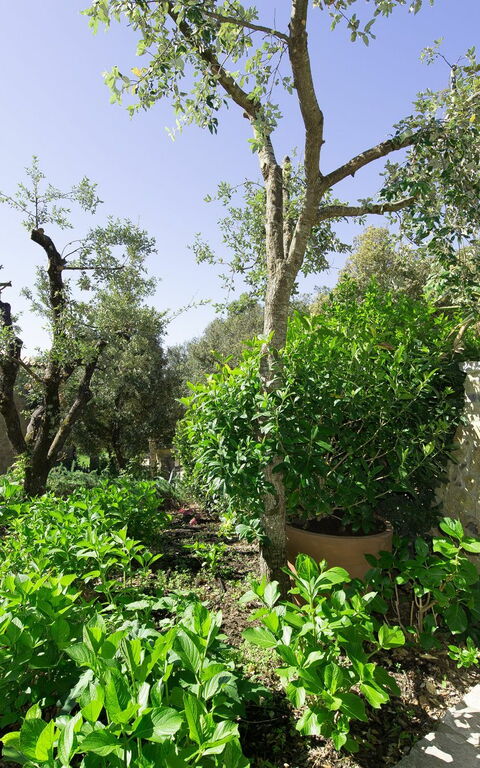 Villa Nova: Extérieur, Extérieurs