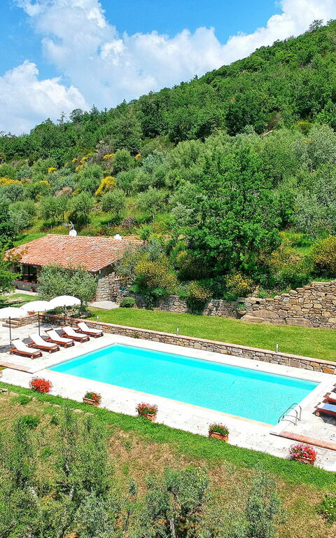 Villa Noceta: bassin