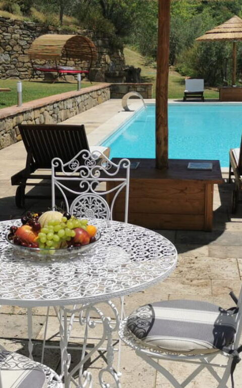 Villa Noceta: bassin