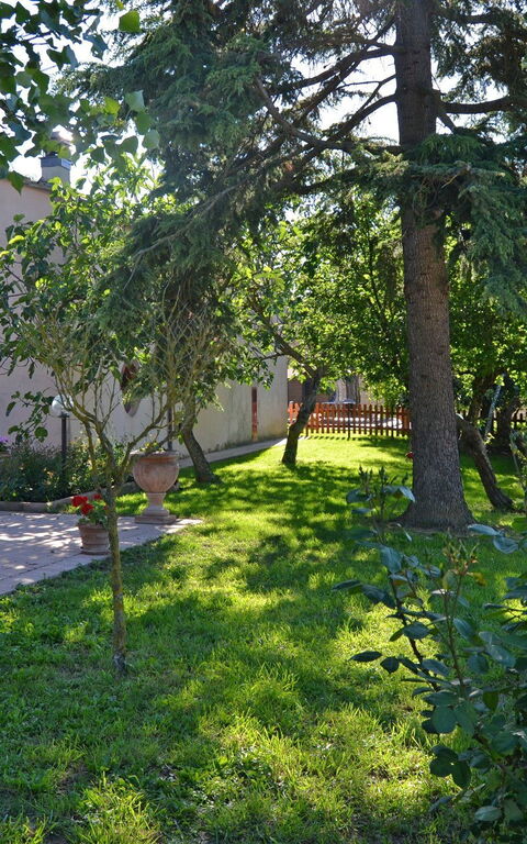 Casa Laura: Extérieur, Jardin