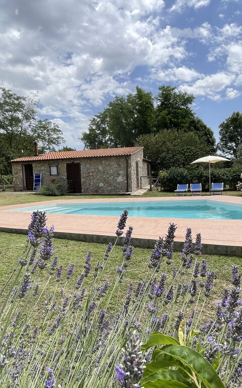 Funghi 1: bassin, Extérieur, Extérieurs, Jardin