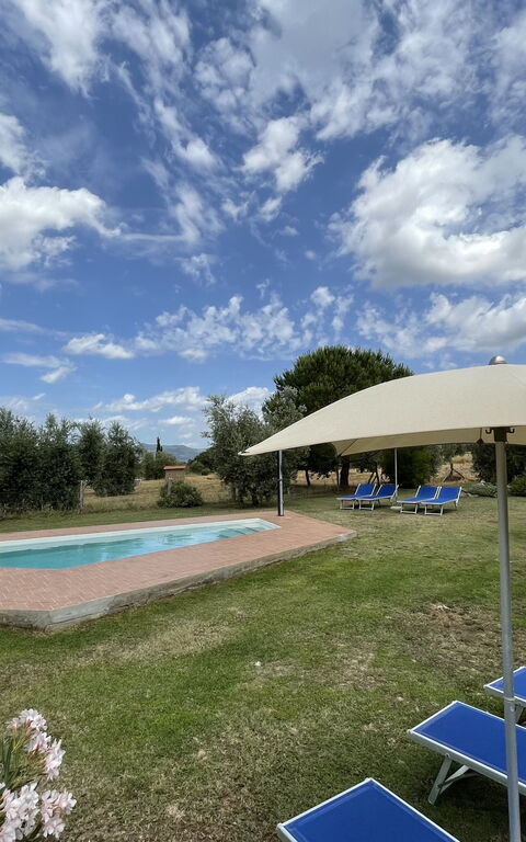 Funghi 1: bassin, Extérieur, Extérieurs, Jardin