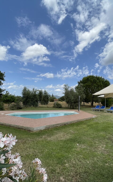 Funghi 1: bassin, Extérieur, Extérieurs, Jardin