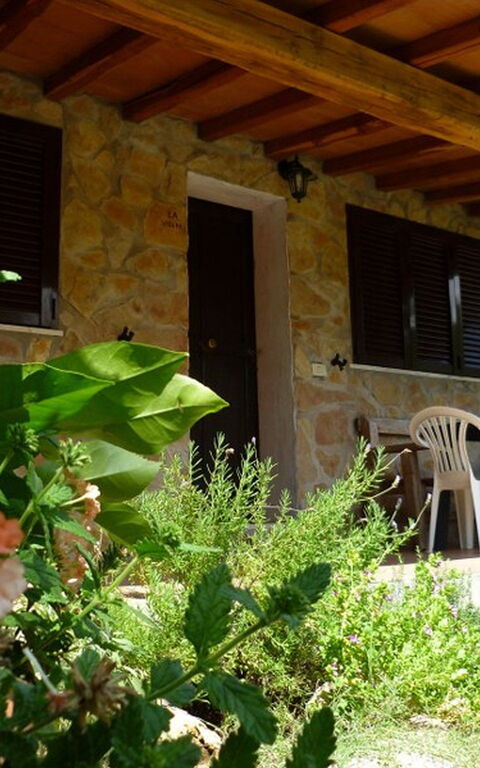 Funghi 2: Extérieur