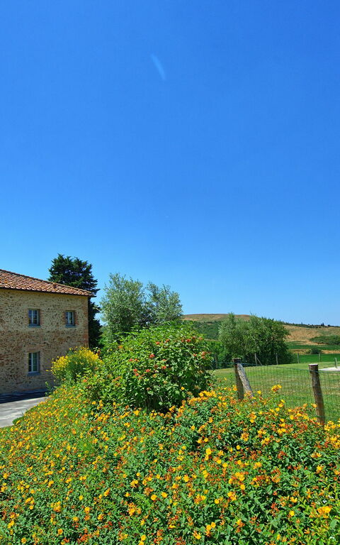 Casale La Valle - Castelfalfi: Jardin