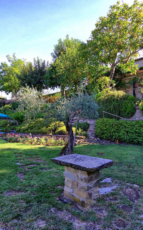 Casale Girifalco: Jardin