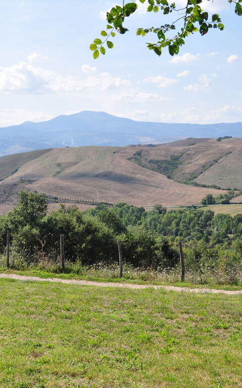 Le Querce Di Campocane: Jardin, Vues
