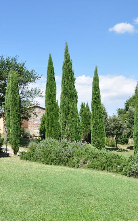 Le Querce Di Campocane: Jardin