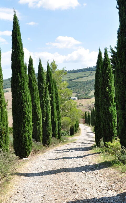 Le Querce Di Campocane: Extérieurs