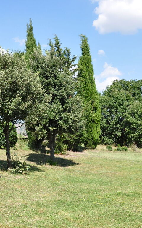 Le Querce Di Campocane: Jardin