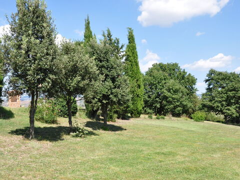 Le Querce Di Campocane