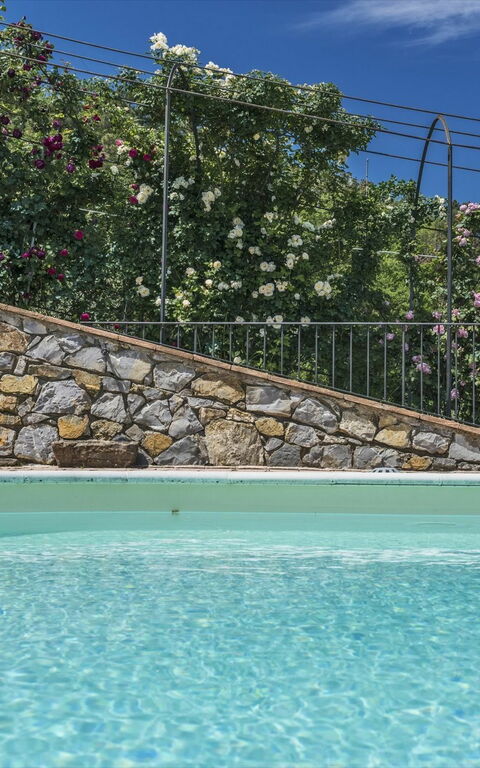 Villa Casalguidi: bassin