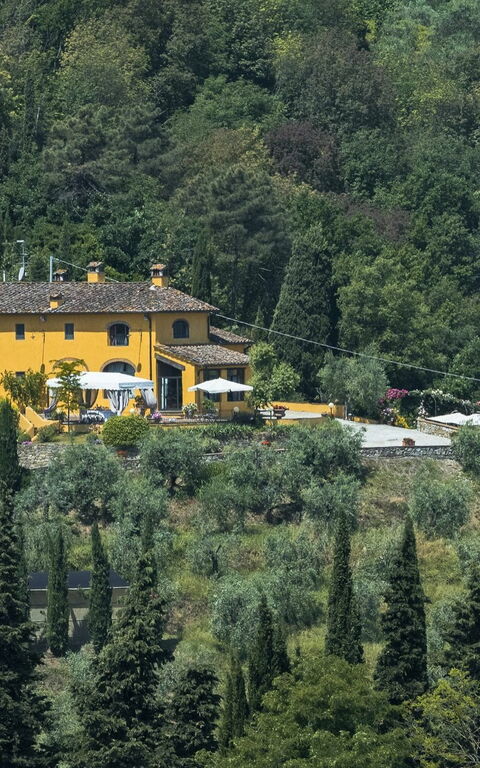 Villa Casalguidi: Jardin