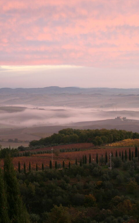 Villa Montalcino: Vues