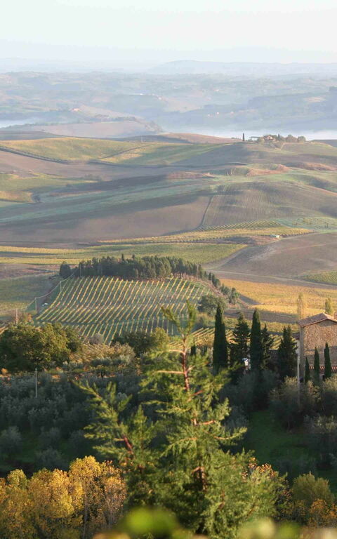 Villa Montalcino: Vues