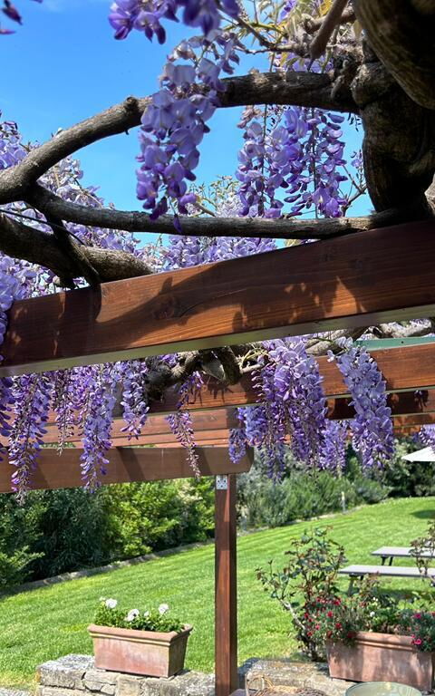 Antico Casale: Balcon / Terrasse / Patio, Extérieur, Extérieurs
