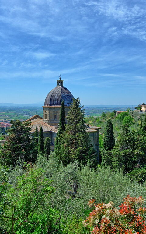 Antico Casale: Jardin, Vues