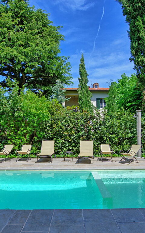 Villa Primula: bassin