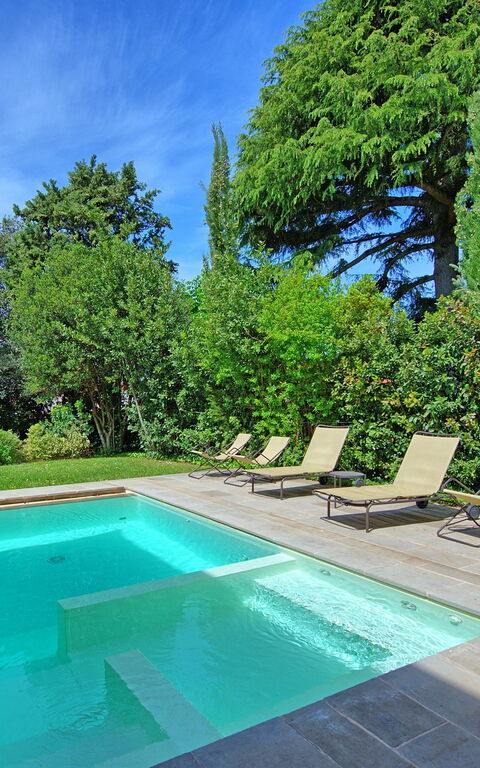 Villa Primula: bassin