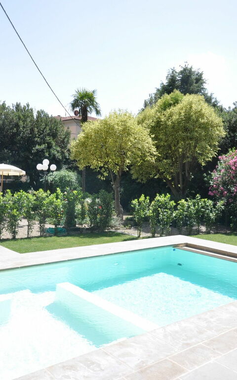 Villa Primula: bassin