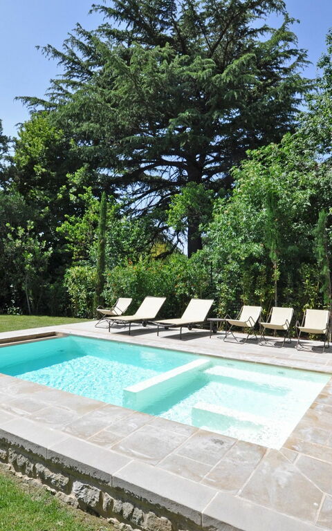 Villa Primula: bassin