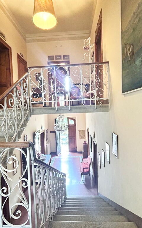 Villa Primula: Autre salle, Détails de la chambre