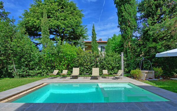 Villa Primula: bassin