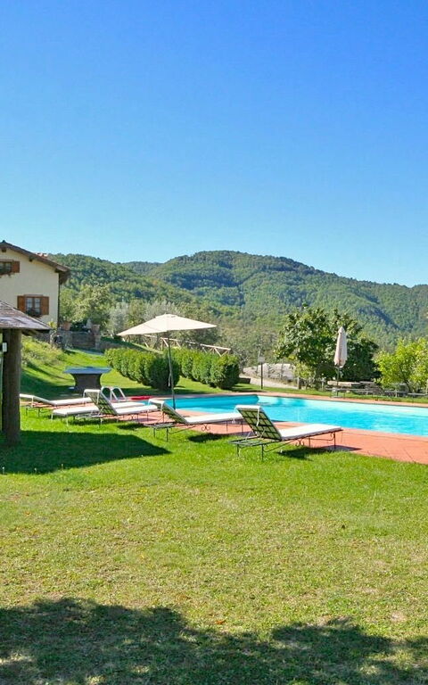 Villa Margherita Due: bassin, Jardin