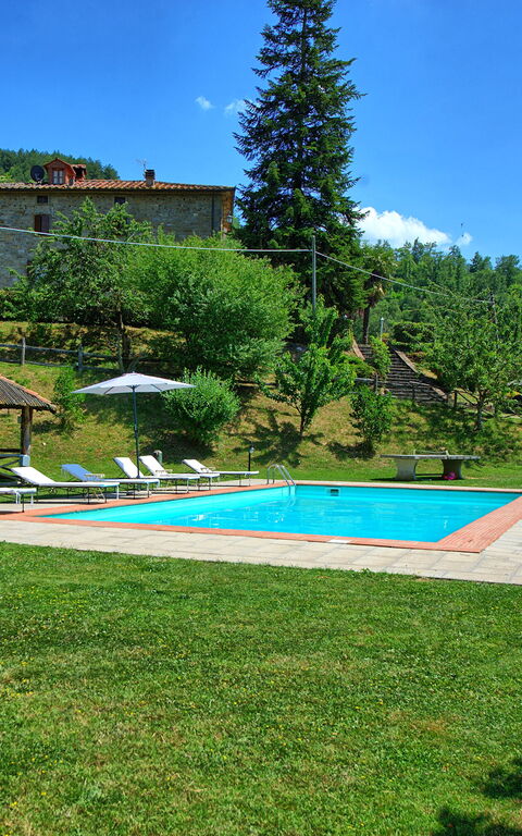 Villa Margherita Due: bassin, Extérieur, Jardin