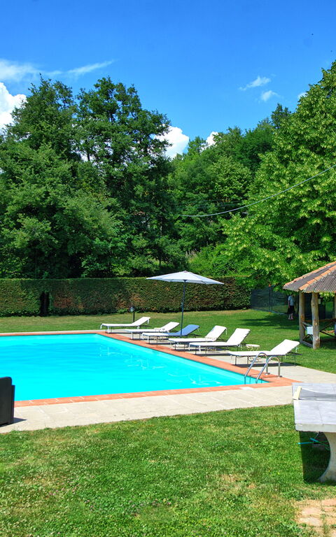 Villa Margherita Due: bassin, Extérieur, Jardin