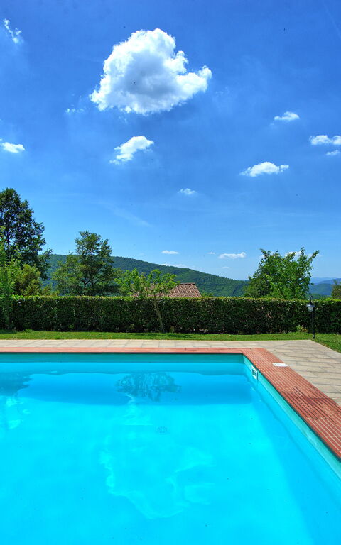 Villa Margherita Due: bassin, Extérieur, Jardin