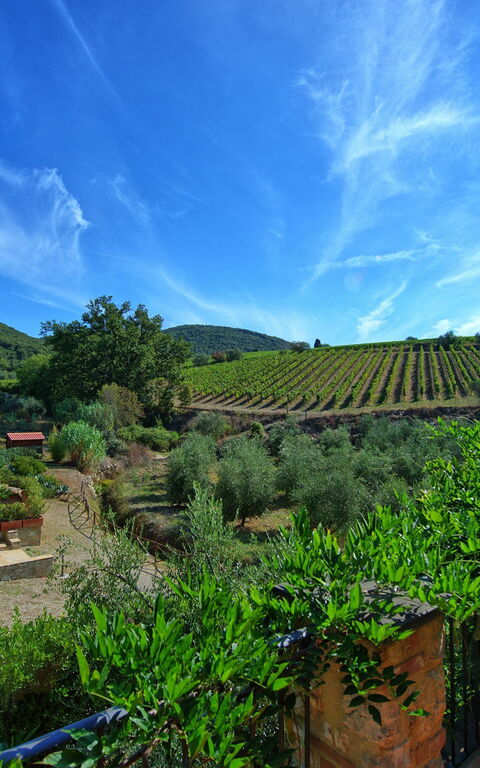 Casa Maria Luisa: Vues